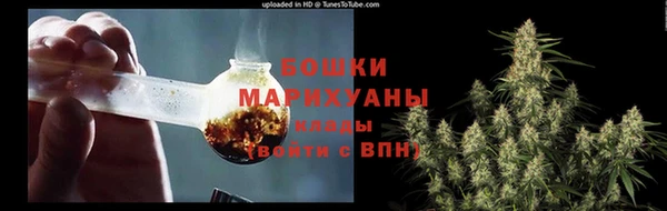 стаф Рославль